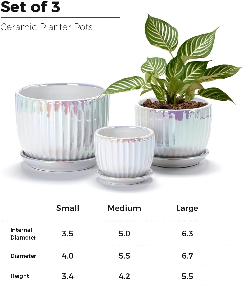 Purilite Select 3-Piece Ceramic Indoor Planter Set