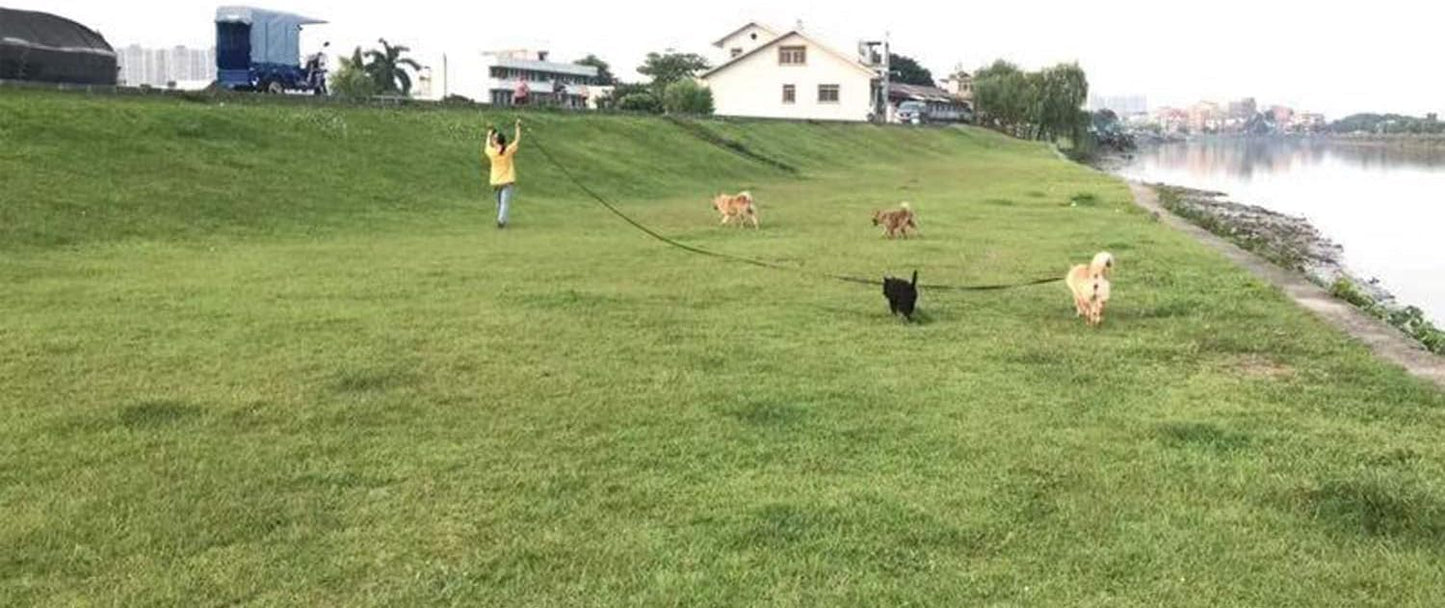 AMAGOOD Dog/Puppy Obedience Recall Training Agility Lead-15 ft 20 ft 30 ft 50 ft Long Leash-for Dog Training,Tie Out,Play,Safety,Camping (15 feet, Black)