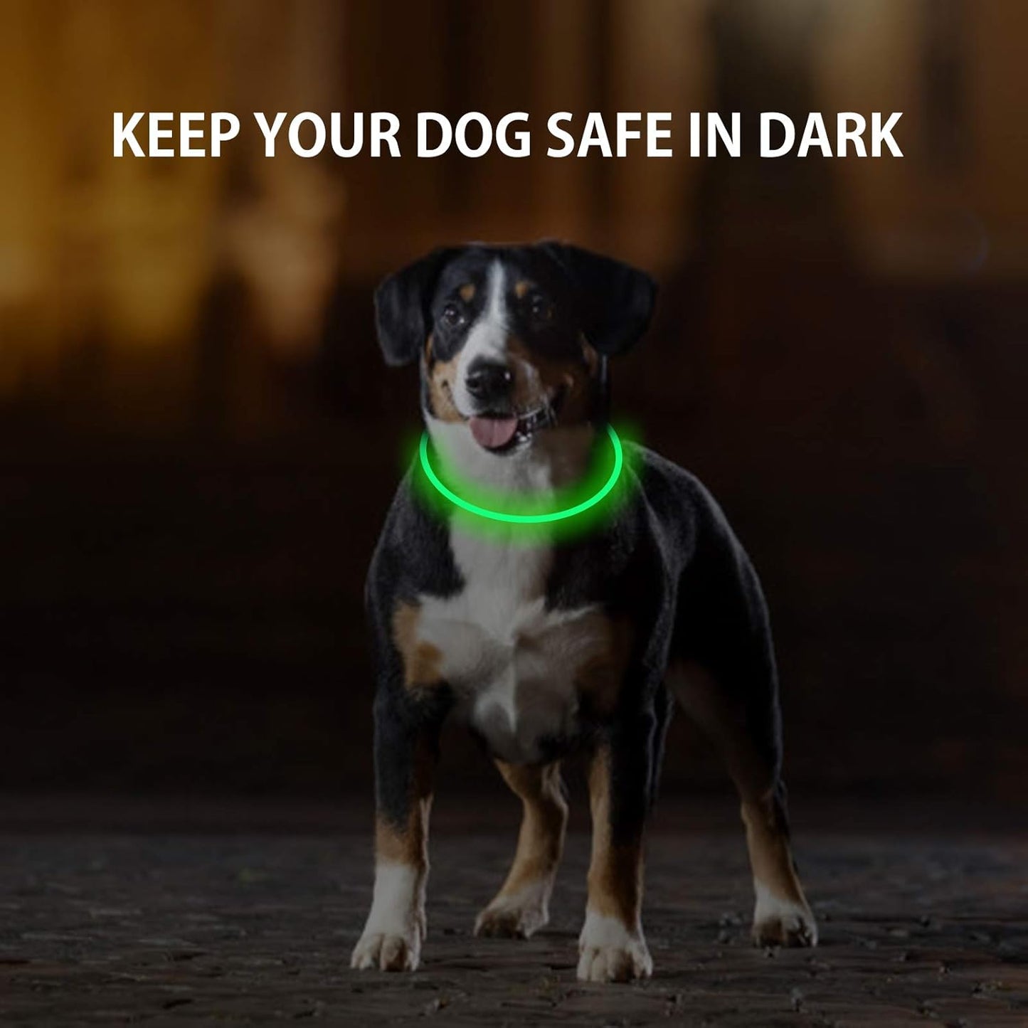 Novkin 2-Pack LED Dog Collar, Light Up Dog Collars,Rechargeable Dog Lights for Night Walking,Universal, Reusable Safety Necklace for Small Medium Large Dogs Green&Blue