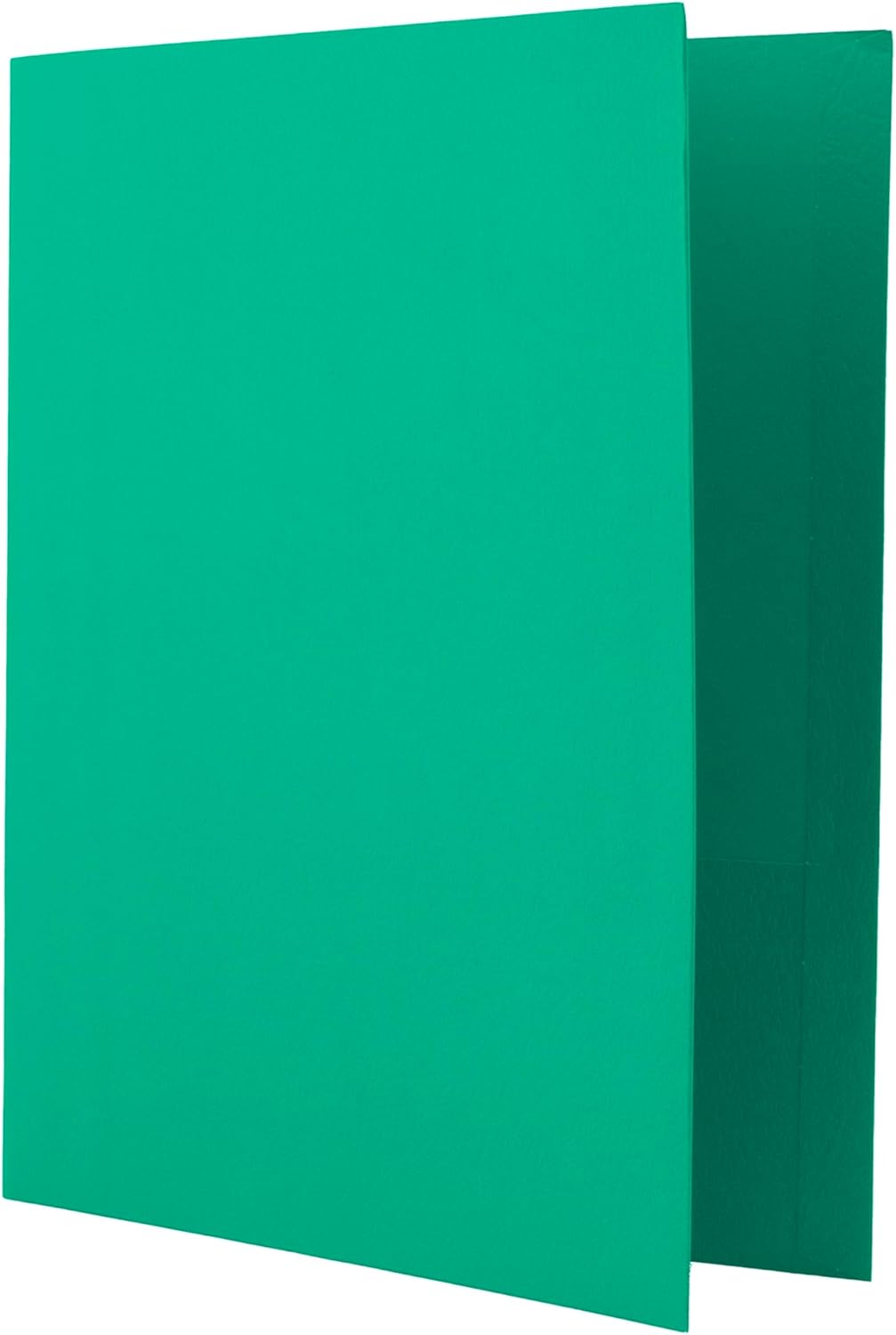 Hilroy Twin Pocket Portfolios, 9.5" x 11.75", 4-Pack, Assorted Colours (06042) - PuriLite