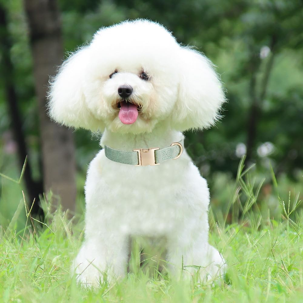 YUDOTE Soft Cotton Dog Collar with Metal Buckle Adjustable Heavy Duty Comfy Corduroy Collars for Small Medium Large Dogs,Black,Small