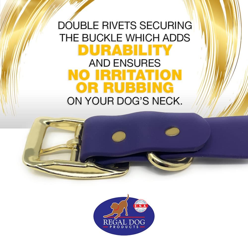 Regal Dog Products Medium Black Waterproof Dog Collar with Gold Buckle, Resilient and Durable Materials, Comfortable Design - for Small, Medium, and Large Breed Dogs