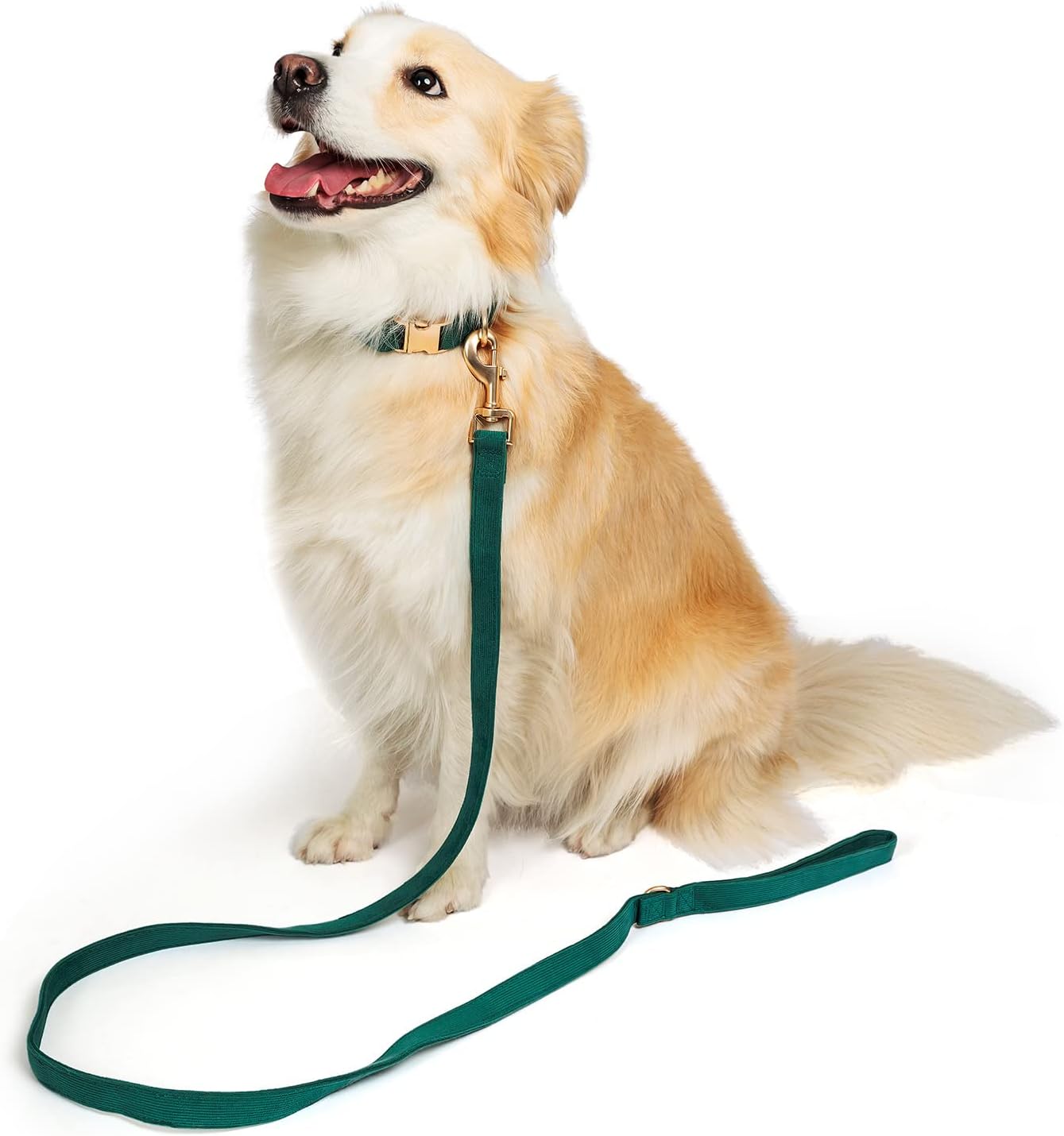 YUDOTE Soft Cotton Dog Collar with Metal Buckle Adjustable Heavy Duty Comfy Corduroy Collars for Small Medium Large Dogs,Black,Small