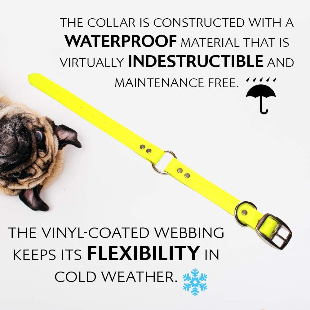 Regal Dog Products Medium Orange Dog Collar with Heavy Duty Double Buckle & D Ring | Vinyl Coated, Custom Fit, Adjustable Biothane Dog Collar Chew Resistant Waterproof Center-Ring Collar for Dogs