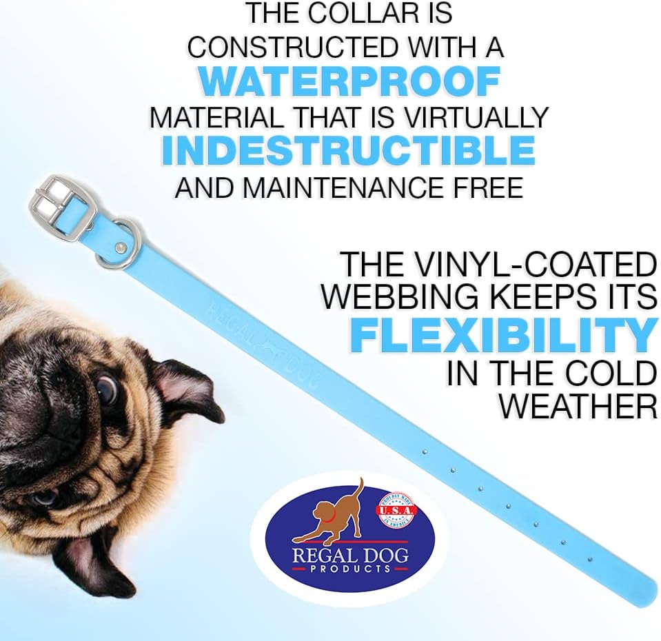 Regal Dog Products Medium Yellow Waterproof Dog Collar with Heavy Duty Double Buckle & D Ring | Vinyl Coated, Custom Fit, Adjustable Biothane Dog Collar | Chew Resistant Waterproof Collar for Dogs