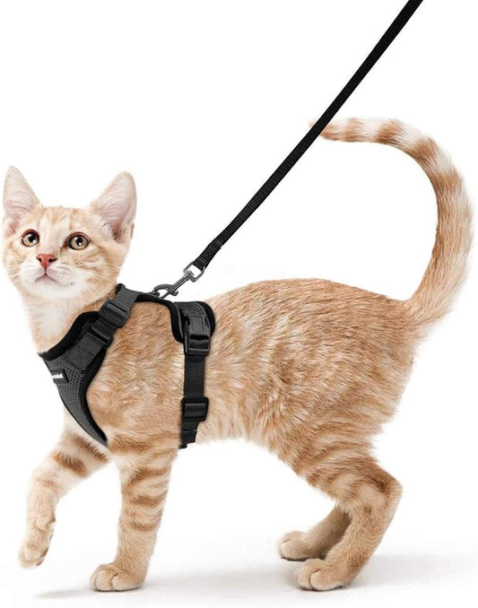 rabbitgoo Cat Harness and Leash for Walking, Escape Proof Soft Adjustable Vest Harnesses for Small Medium Cats, Easy Control Breathable Reflective Strips Jacket, XS, Black