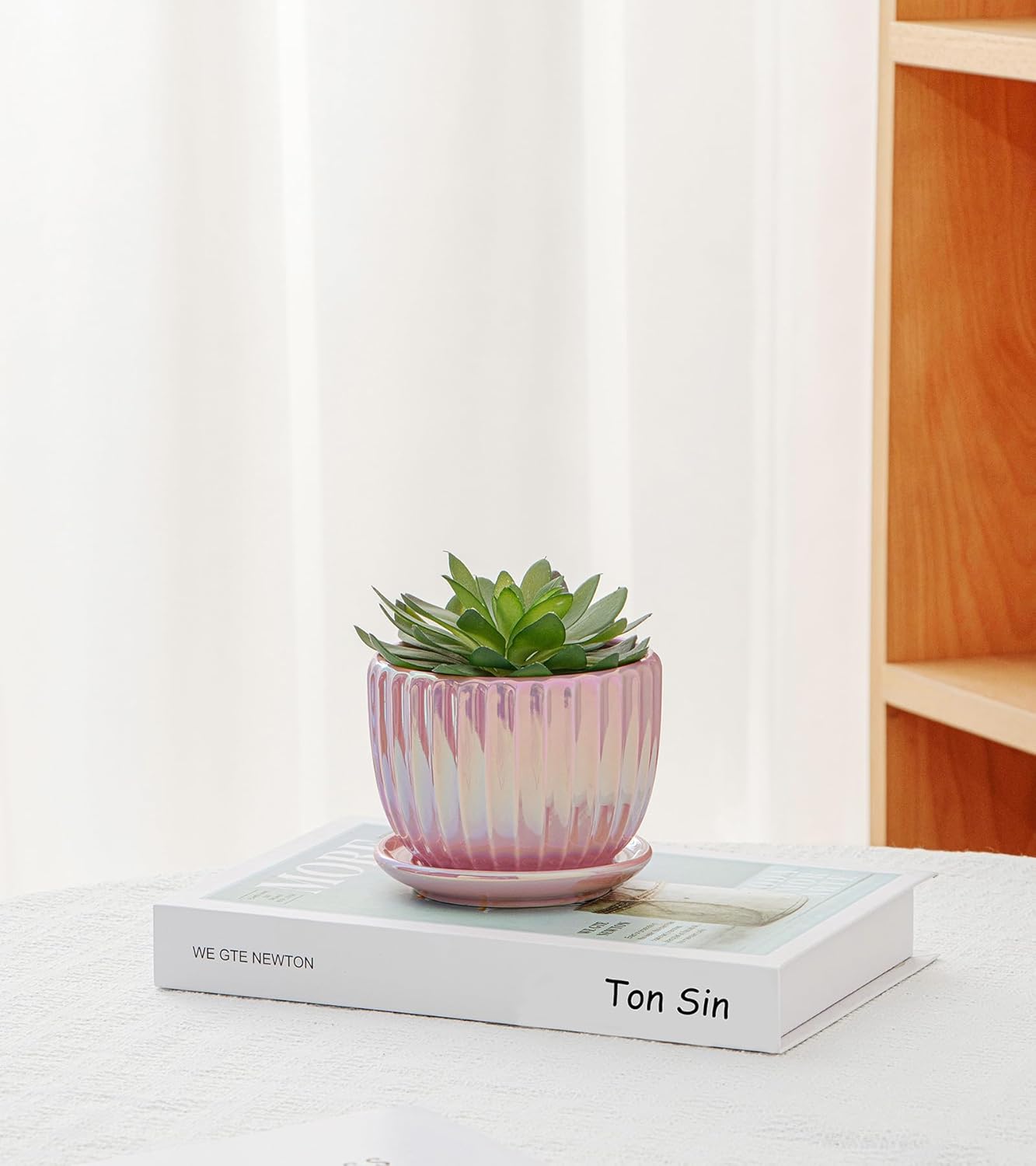 Purilite Select 3-Piece Ceramic Indoor Planter Set