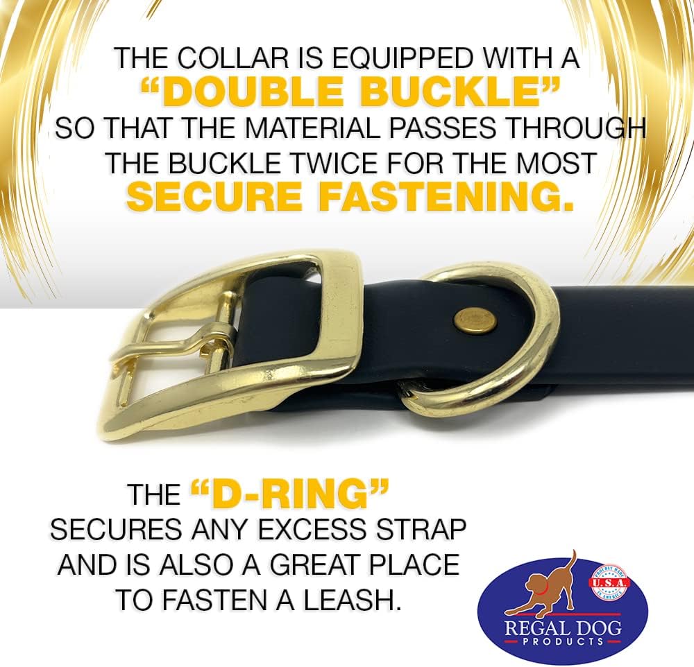 Regal Dog Products Medium Black Waterproof Dog Collar with Gold Buckle, Resilient and Durable Materials, Comfortable Design - for Small, Medium, and Large Breed Dogs