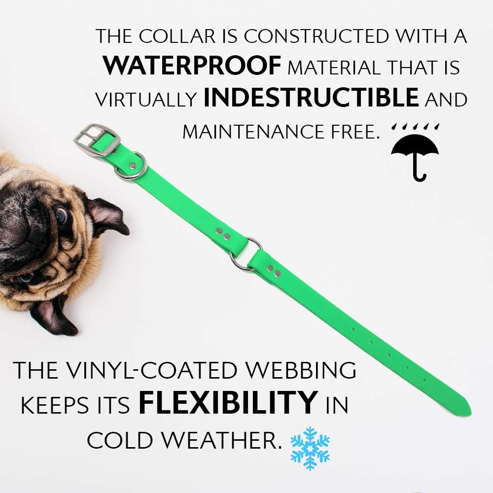 Regal Dog Products Medium Orange Dog Collar with Heavy Duty Double Buckle & D Ring | Vinyl Coated, Custom Fit, Adjustable Biothane Dog Collar Chew Resistant Waterproof Center-Ring Collar for Dogs