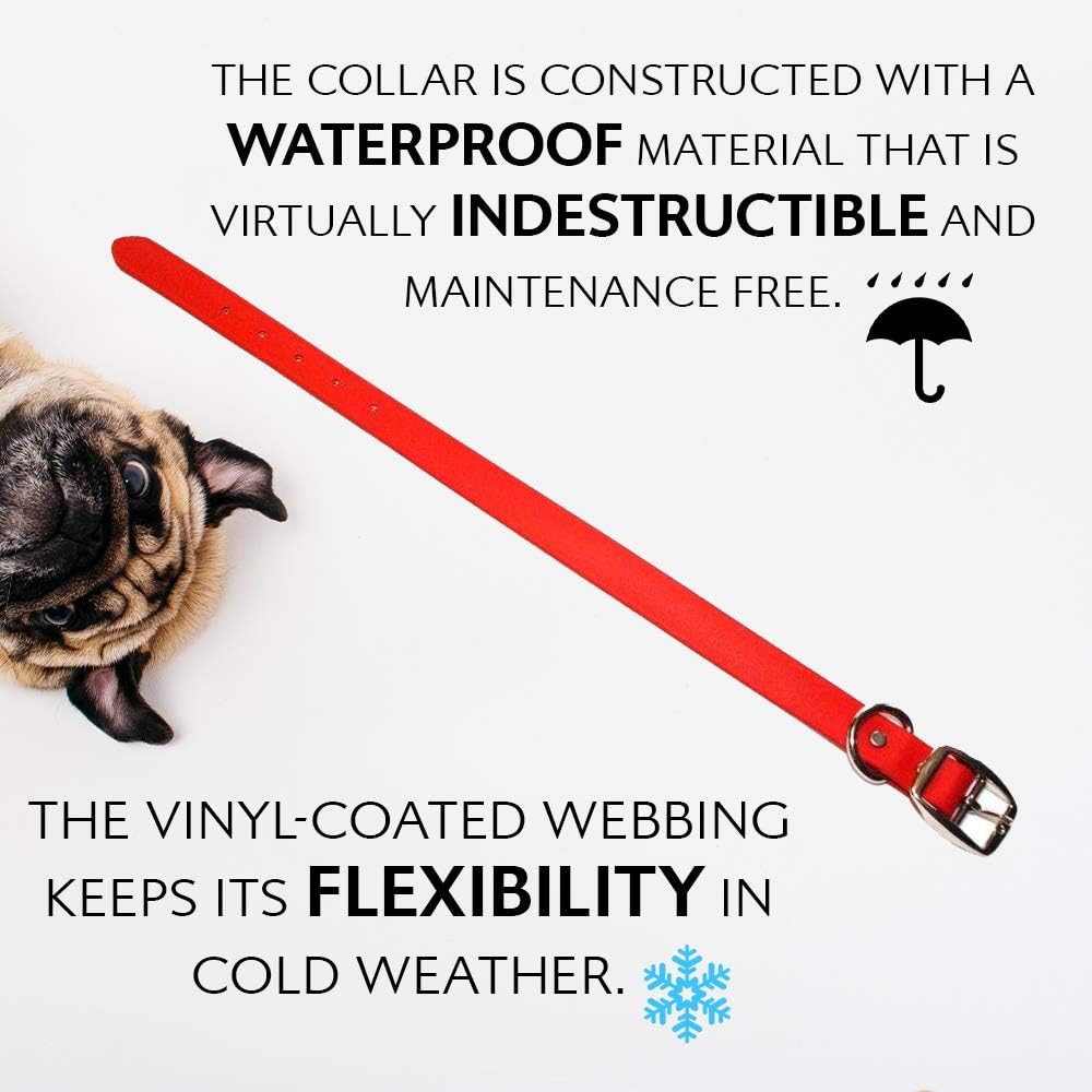 Regal Dog Products Medium Yellow Waterproof Dog Collar with Heavy Duty Double Buckle & D Ring | Vinyl Coated, Custom Fit, Adjustable Biothane Dog Collar | Chew Resistant Waterproof Collar for Dogs