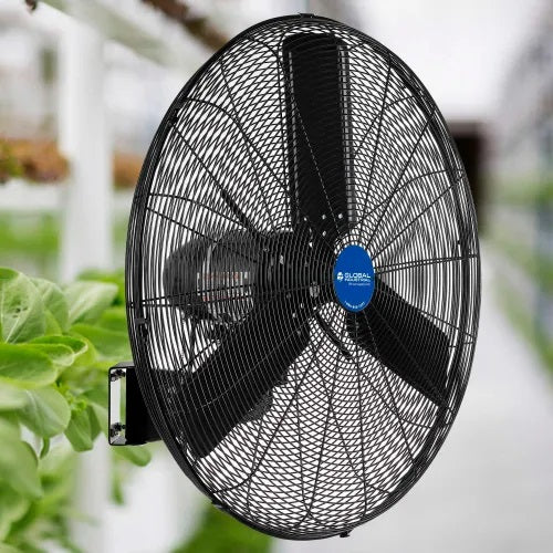 Global Industrial™ 30" Outdoor Rated Oscillating Wall Mount Fan, 2 Speed, 8,400 CFM, 3/10 HP
