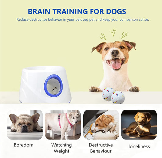 Automatic Dog Ball Launcher