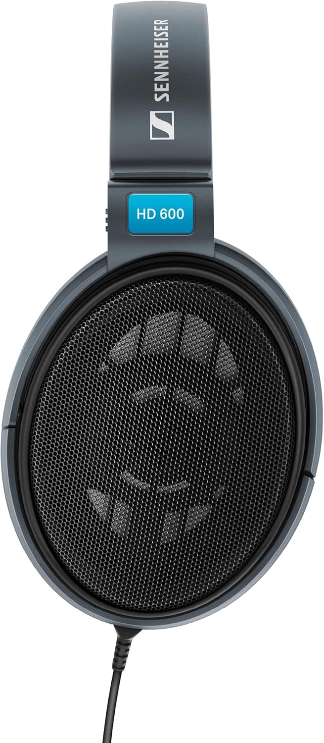 Sennheiser HD 600 Open Dynamic Hi-Fi Professional Stereo Headphones (Black)