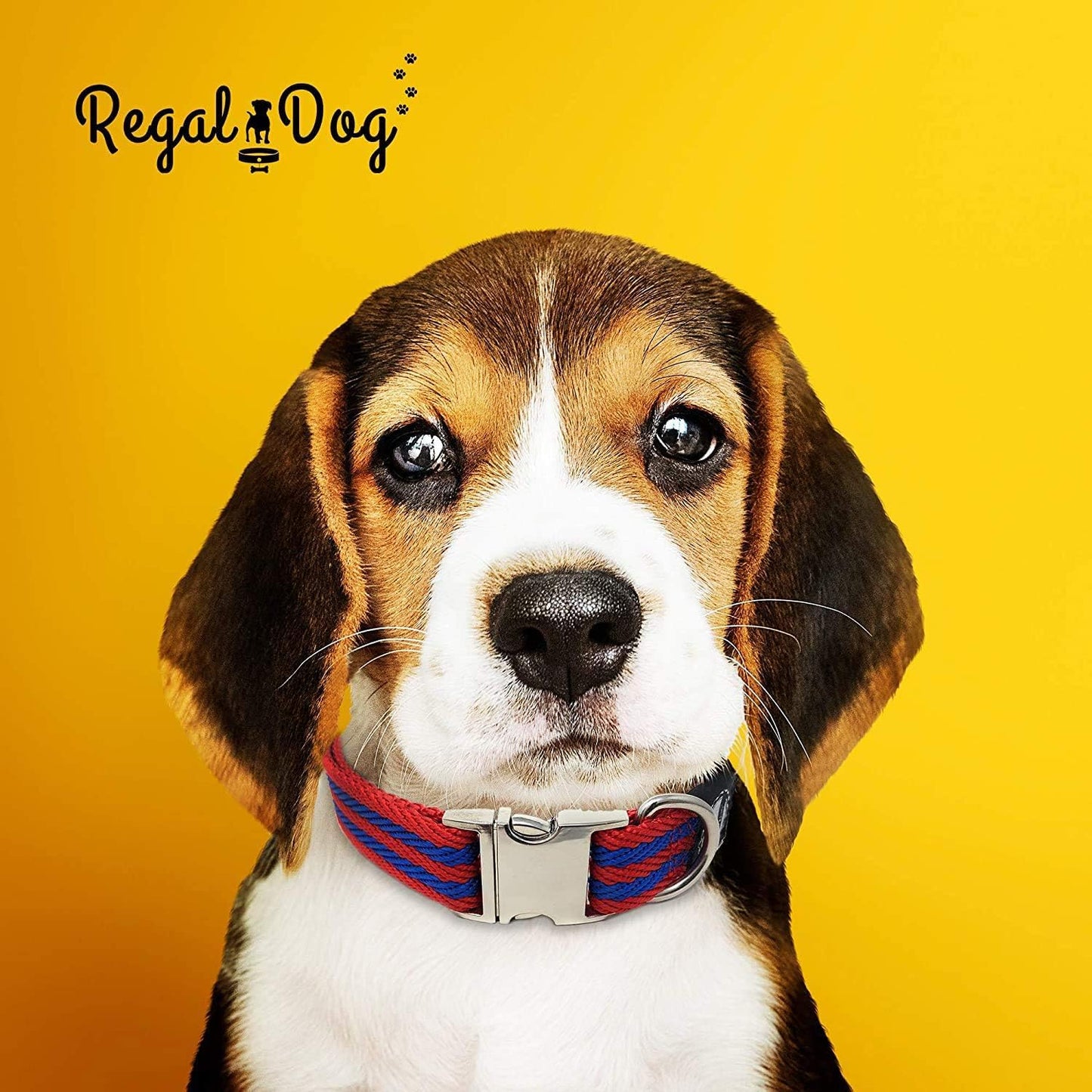 Regal Dog Products Pet Collar with Metal Buckle and D Ring | Durable Dog Collar with Reinforced Metal Clasp and Nylon Webbing Adjustable Dog Collar to fit for Large Dogs (Large, Blue/Gray Stripe)