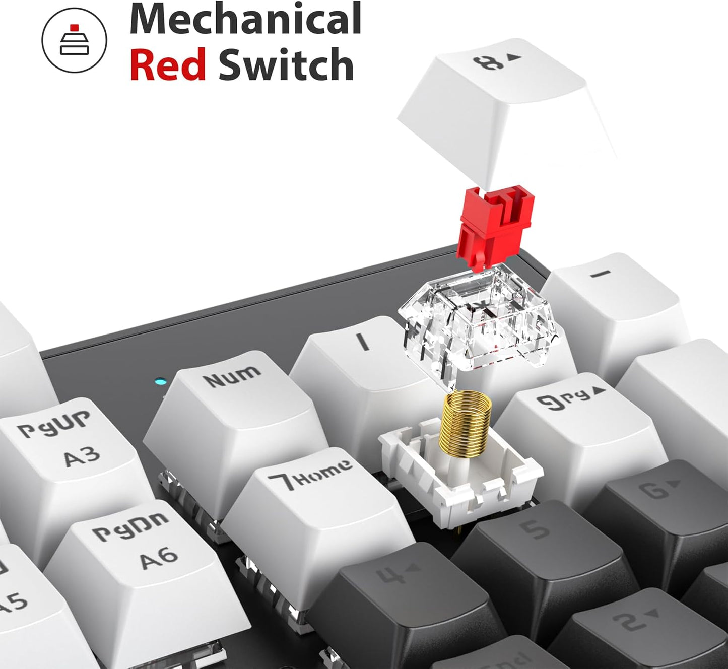 Fogruaden Full Size Mechanical Keyboard, Green Matcha Keyboard, Wired USB 104 Keys RGB Backlit Gaming Keyboard with Number Pad, Red Switches, NKRO Mechanical Keyboard for Windows Laptop PC Gamer