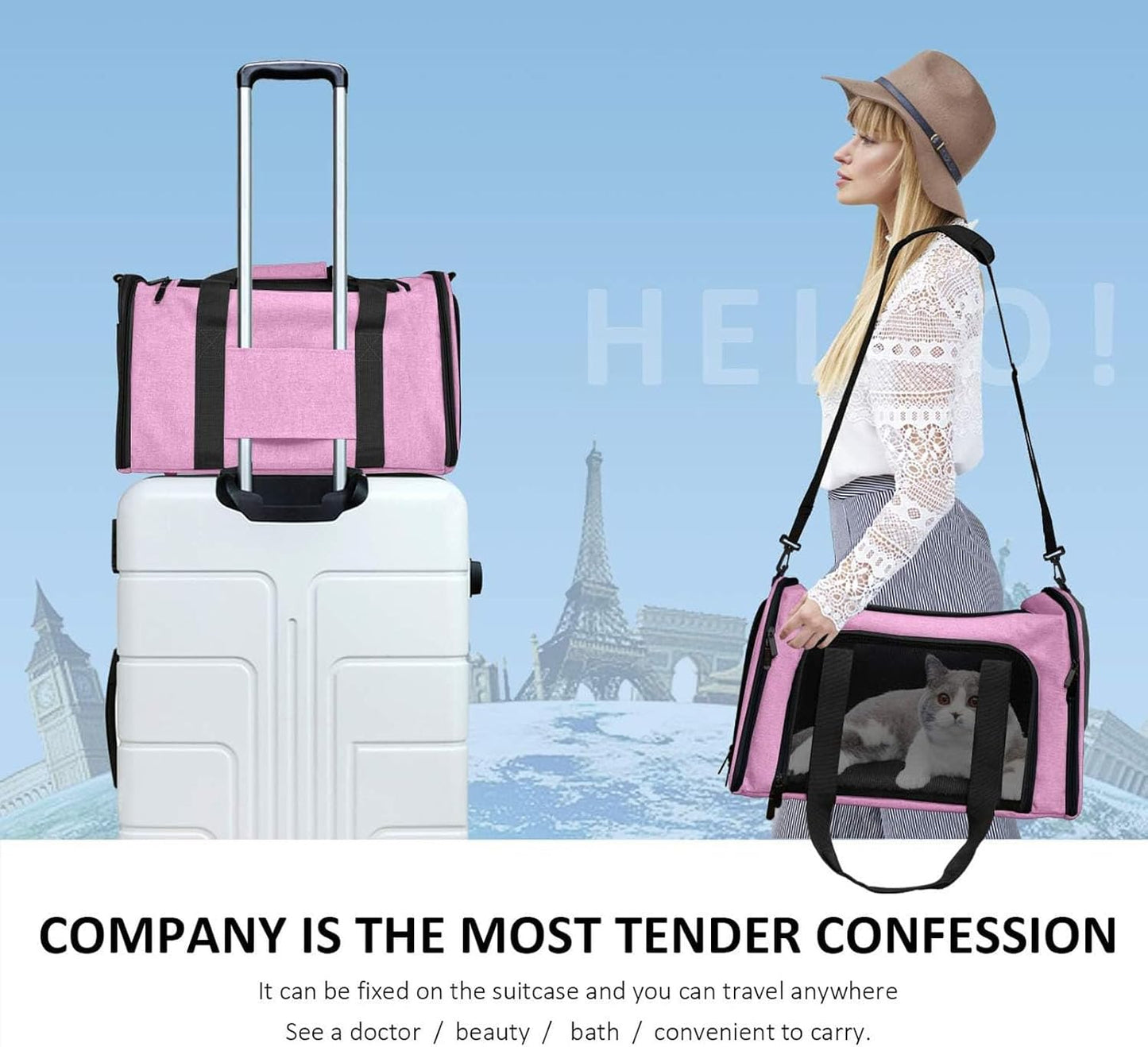 SFBAIHEN Cat Carriers Dog Carrier Pet Carrier for Small Medium Cats Dogs Puppies up to 15 Lbs, TSA Airline Approved Small Dog Carrier Soft Sided, Collapsible Waterproof Travel Puppy Carrier (Pink)