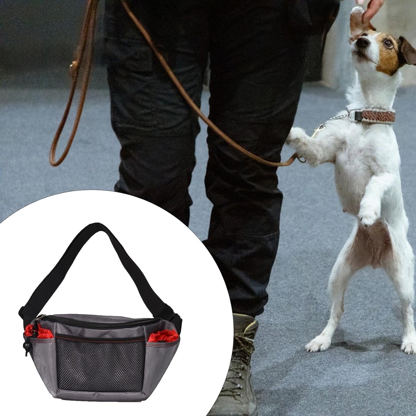 Ioensy Dog Treat Pouch Pet Training Bag Adjustable Fanny Pack for Walking Accessories Water Bottle