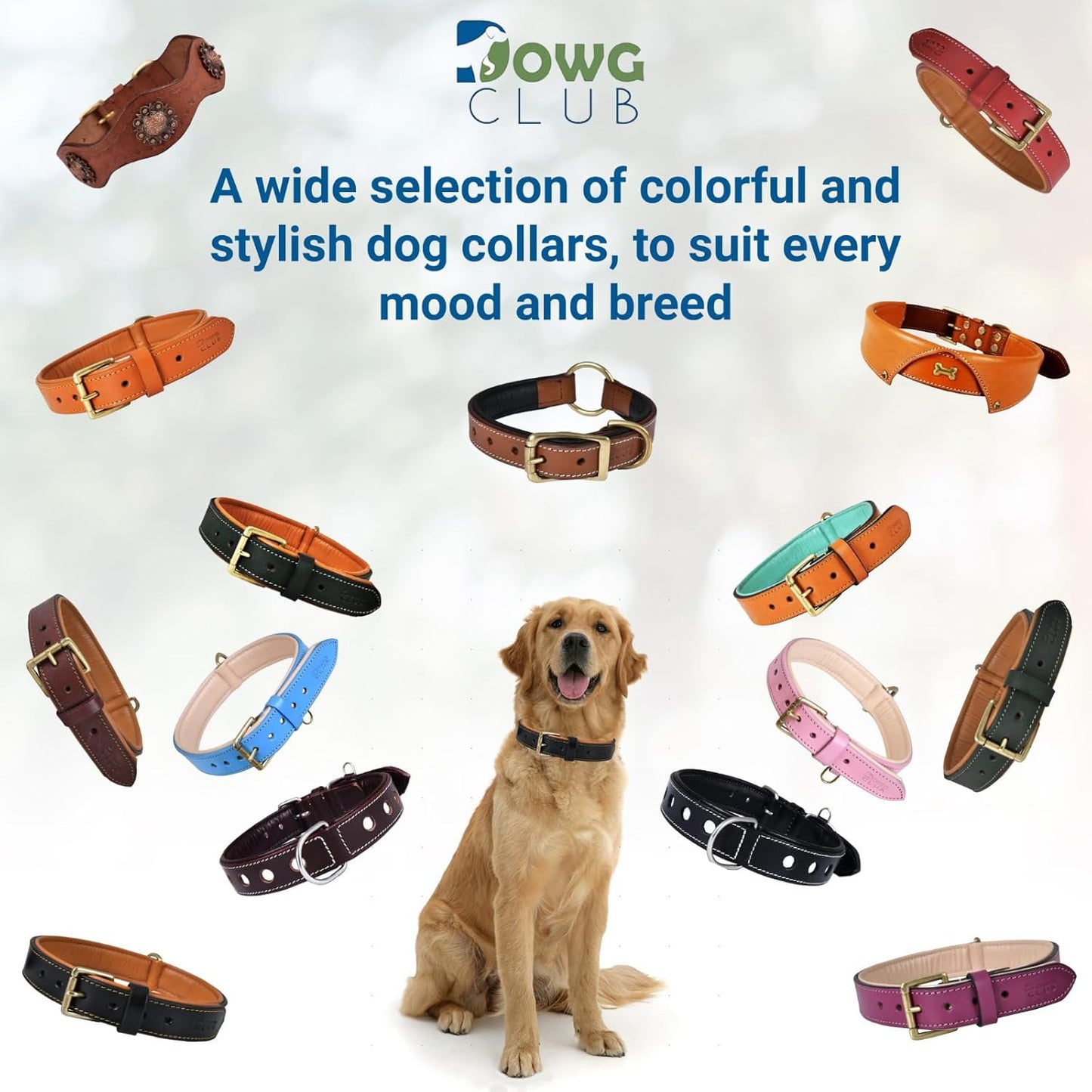 DowgClub | Genuine Leather Dog Collar | Full Grain, Heavy Duty | Comfortable, Strong | Best for Pups, Small, Medium & Large Breeds | Pink, Brown, Black, Tan