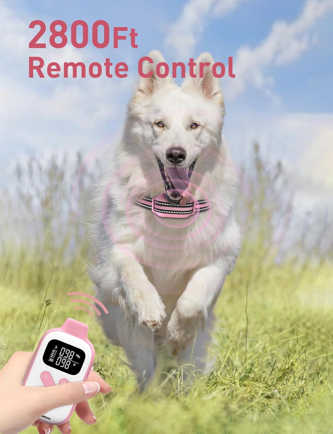 DOGLinsen 2-in-1 Bark and Shock Collar for Dogs, Smart Anti Barking Dog Training Collar with 5 Adjustable Sensitivity, Automatic Bark Collar with Remote, Vibration, Beep, Shock and Automatic