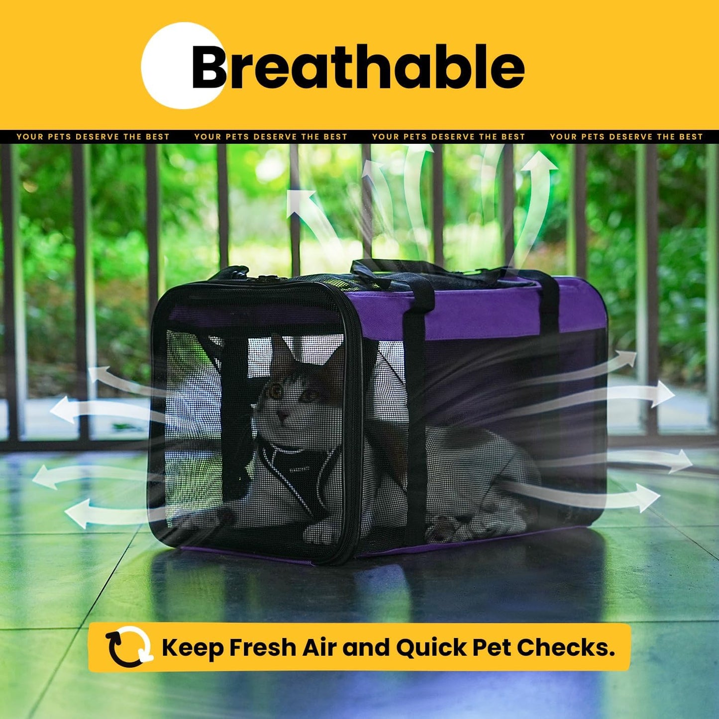 Conlun Cat Carrier Bag,Soft-Sided Pet Carriers for Dogs with 4-Sided Mesh,Airline Approved Cat Transport Carrier for Small&Medium Cats Kitten Puppy Up to 6Kg,Collapsible Cat Travel Carrier-M,Black