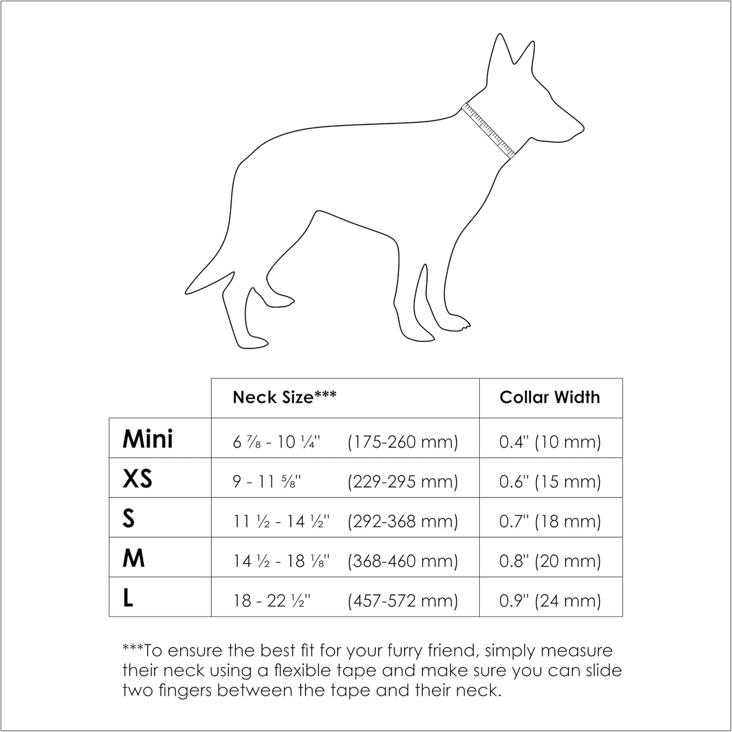 Waterproof Dog Collar - Durable, Comfortable and Adjustable Silicone Dog Collar with Wear Resistant Buckle and ID Tag Ring for Small Dogs by Nuvuq (Black, Small)