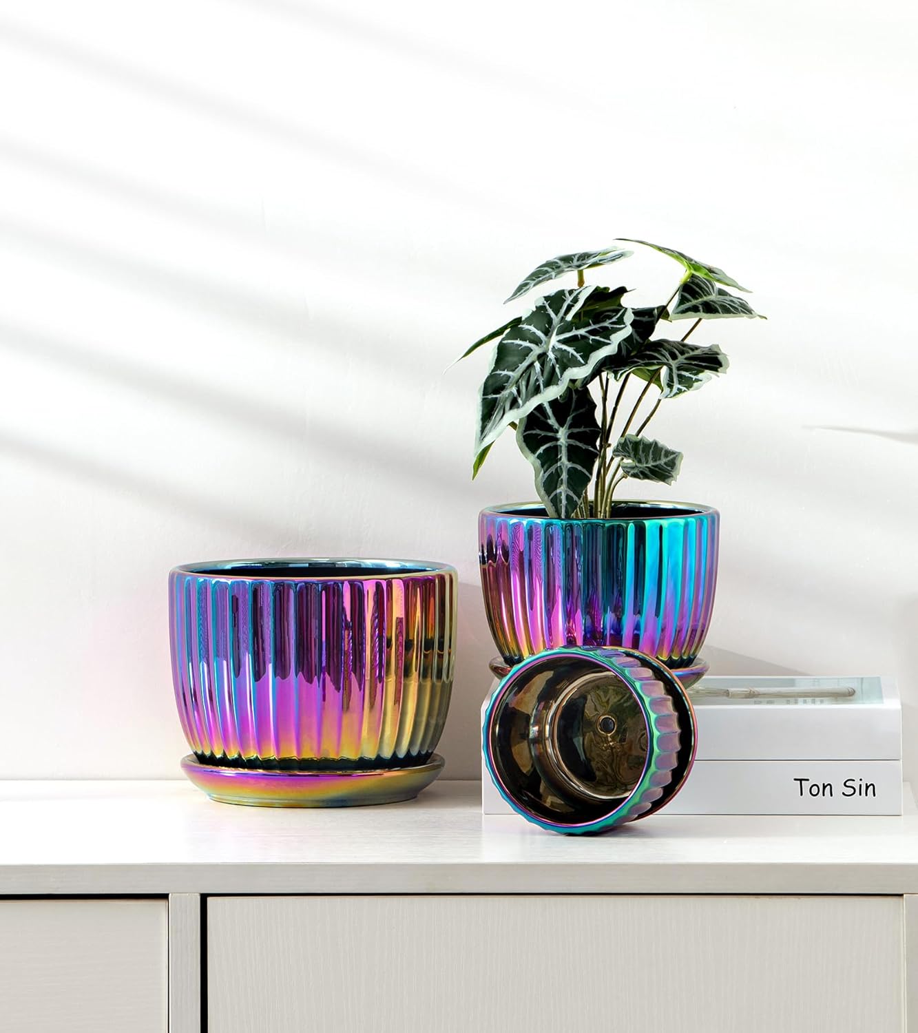Purilite Select 3-Piece Ceramic Indoor Planter Set