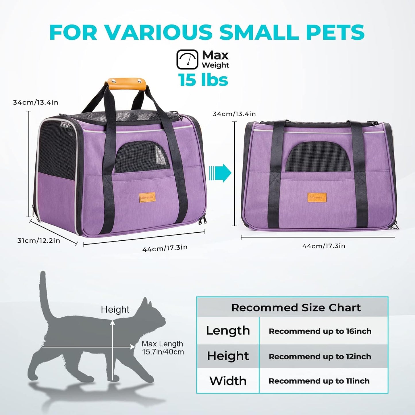 Morpilot Cat Carrier Soft - Portable Pet Carrier for Small or Medium Cats, Dogs and Puppy up to 14lbs, Airline Approved Dog Carrier with Safety Buckle - (Dark Gray)