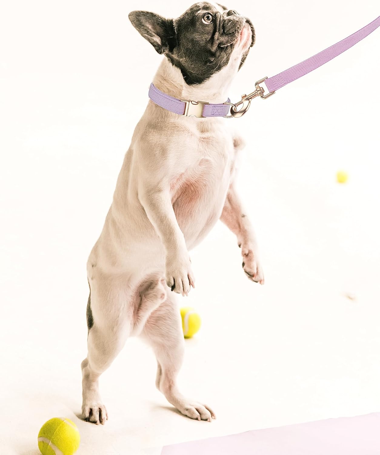 YUDOTE Soft Cotton Dog Collar with Metal Buckle Adjustable Heavy Duty Comfy Corduroy Collars for Small Medium Large Dogs,Black,Small