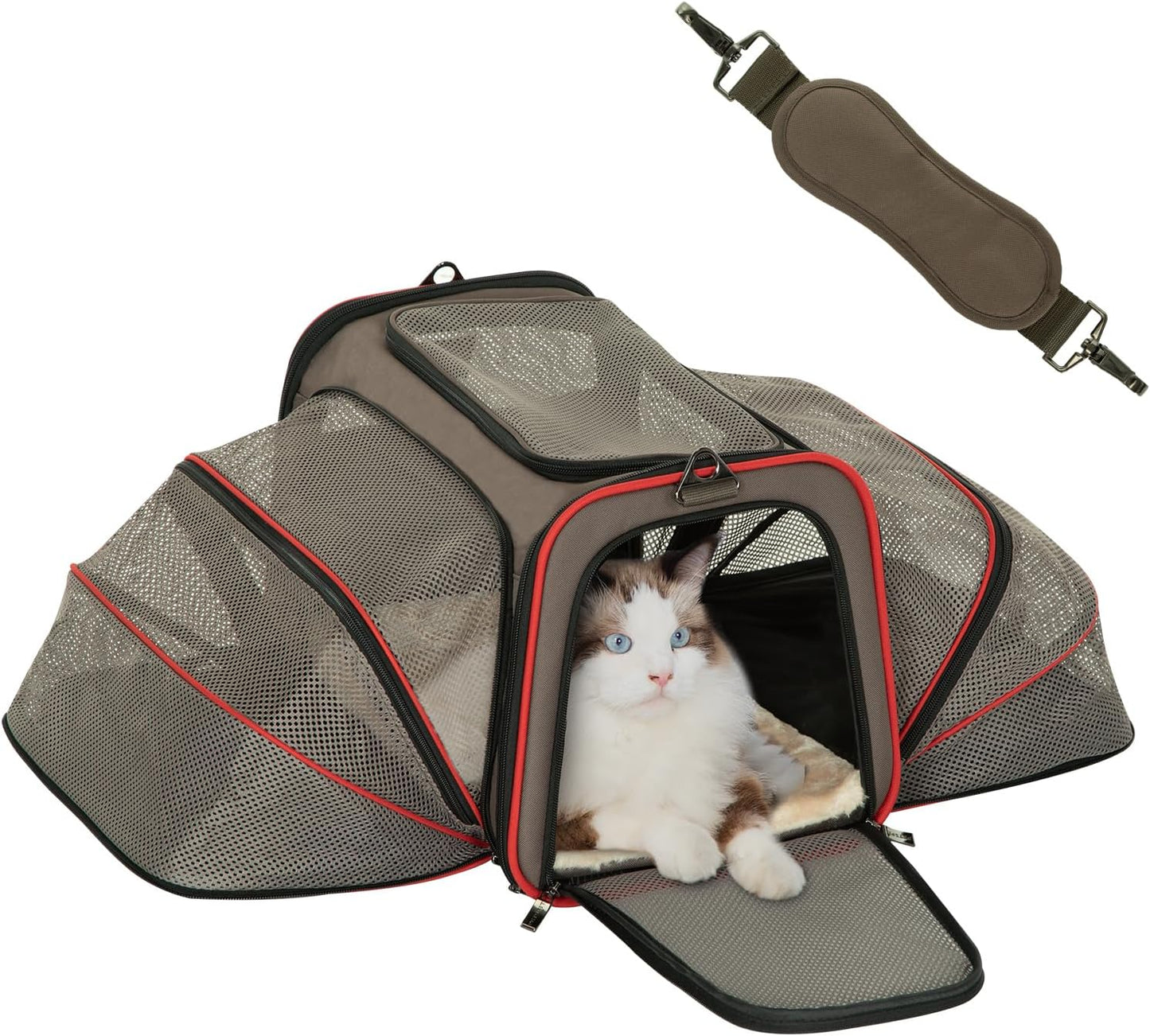 Petsfit Expandable Cat Dog Carrier Airline Approved, 17" L x 11" W x 11" H Soft-Sided Portable Pet Travel Carrier for Kitten, Puppy, Removable Soft Plush Mat and Pockets, Auto-Locking Zippers
