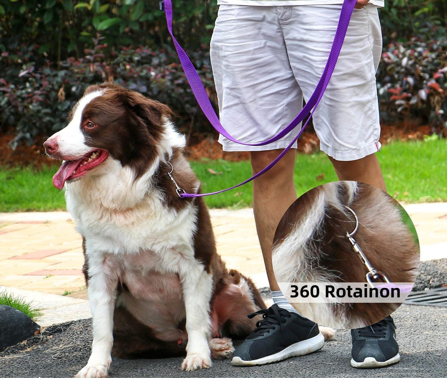 AMAGOOD Dog/Puppy Obedience Recall Training Agility Lead-15 ft 20 ft 30 ft 50 ft Long Leash-for Dog Training,Tie Out,Play,Safety,Camping (15 feet, Black)