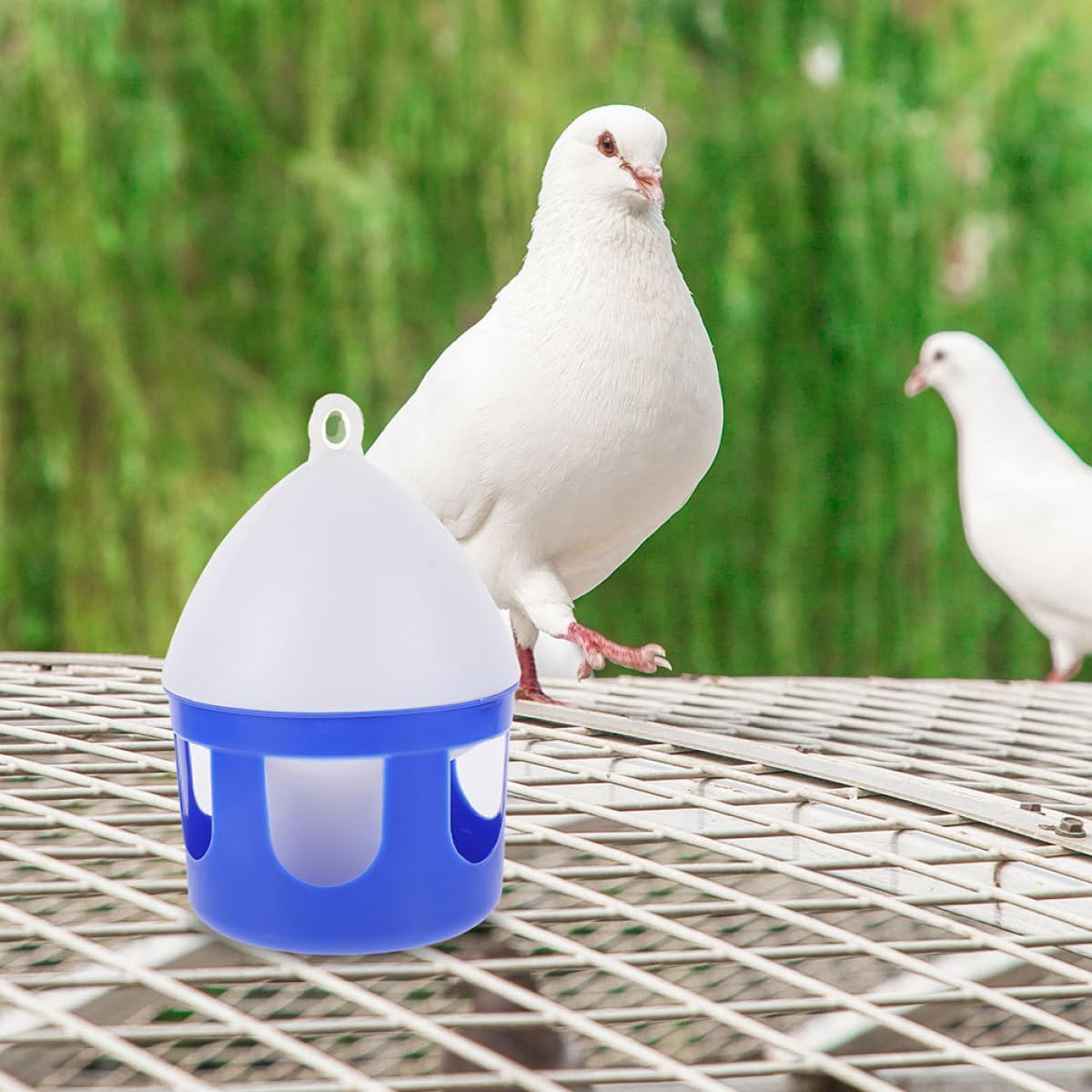 2 Pack Bird Water Dispenser Container for Six Birds, 2l Plastic