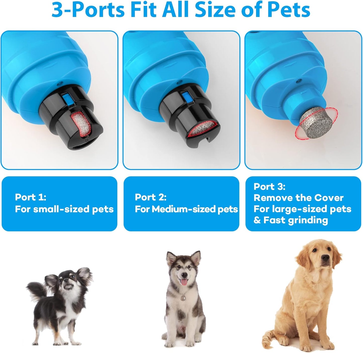 Casfuy Dog Nail Grinder with 2 LED Light - New Version 2-Speed Powerful Electric Pet Nail Trimmer Professional Quiet Painless Paws Grooming & Smoothing for Small Medium Large Dogs and Cats (Blue)
