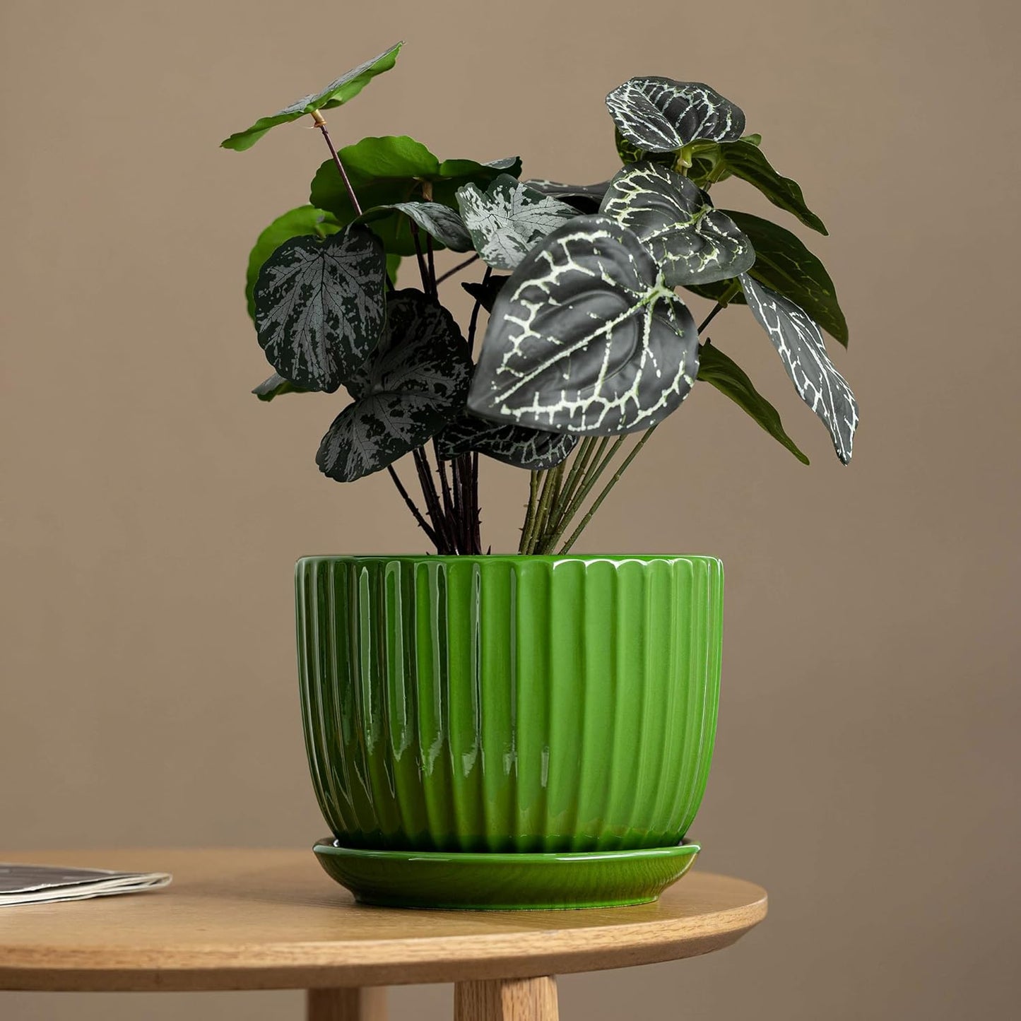 Purilite Select 3-Piece Ceramic Indoor Planter Set
