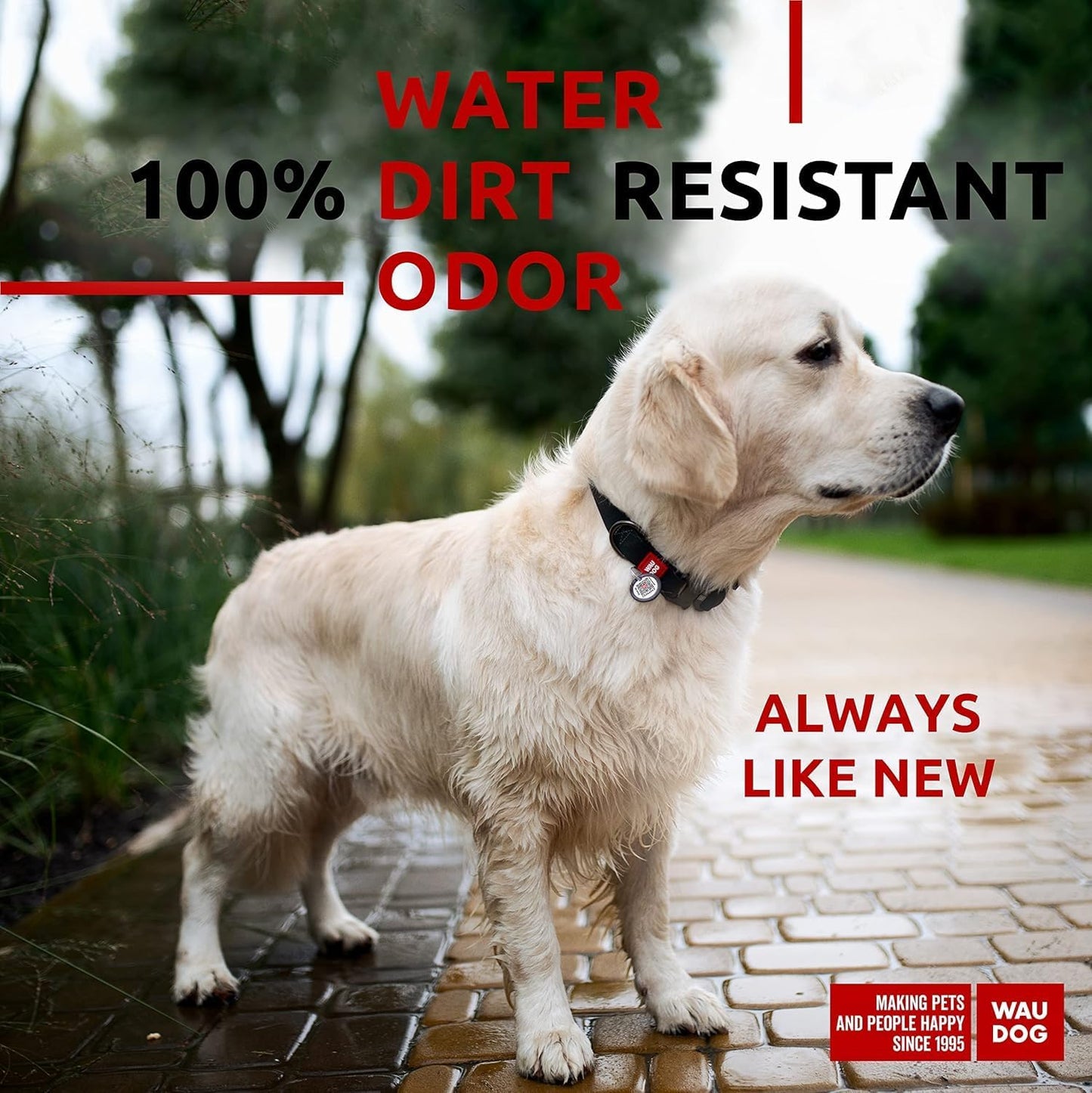 Waterproof Dog Collar - Adjustable Glow Dog Collar for Large Dogs, Small and Medium Dogs - Heavy Duty Dog Collars with Durable Metal Clasp and QR Dog Tag - Glow in The Dark Dog Collars