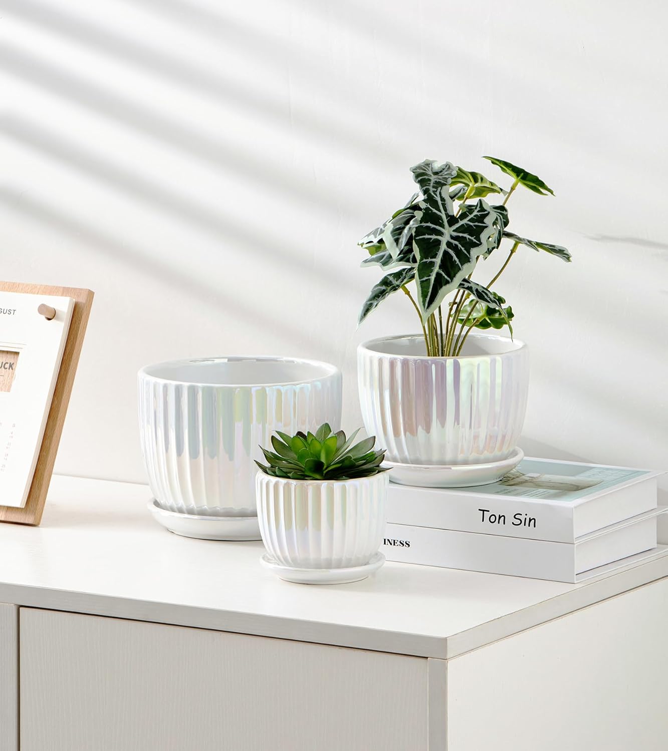 Purilite Select 3-Piece Ceramic Indoor Planter Set