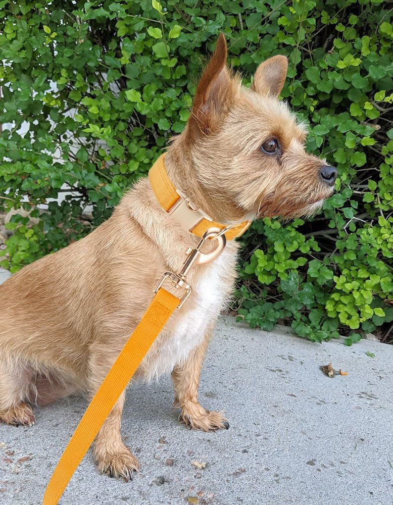 YUDOTE Soft Cotton Dog Collar with Metal Buckle Adjustable Heavy Duty Comfy Corduroy Collars for Small Medium Large Dogs,Black,Small