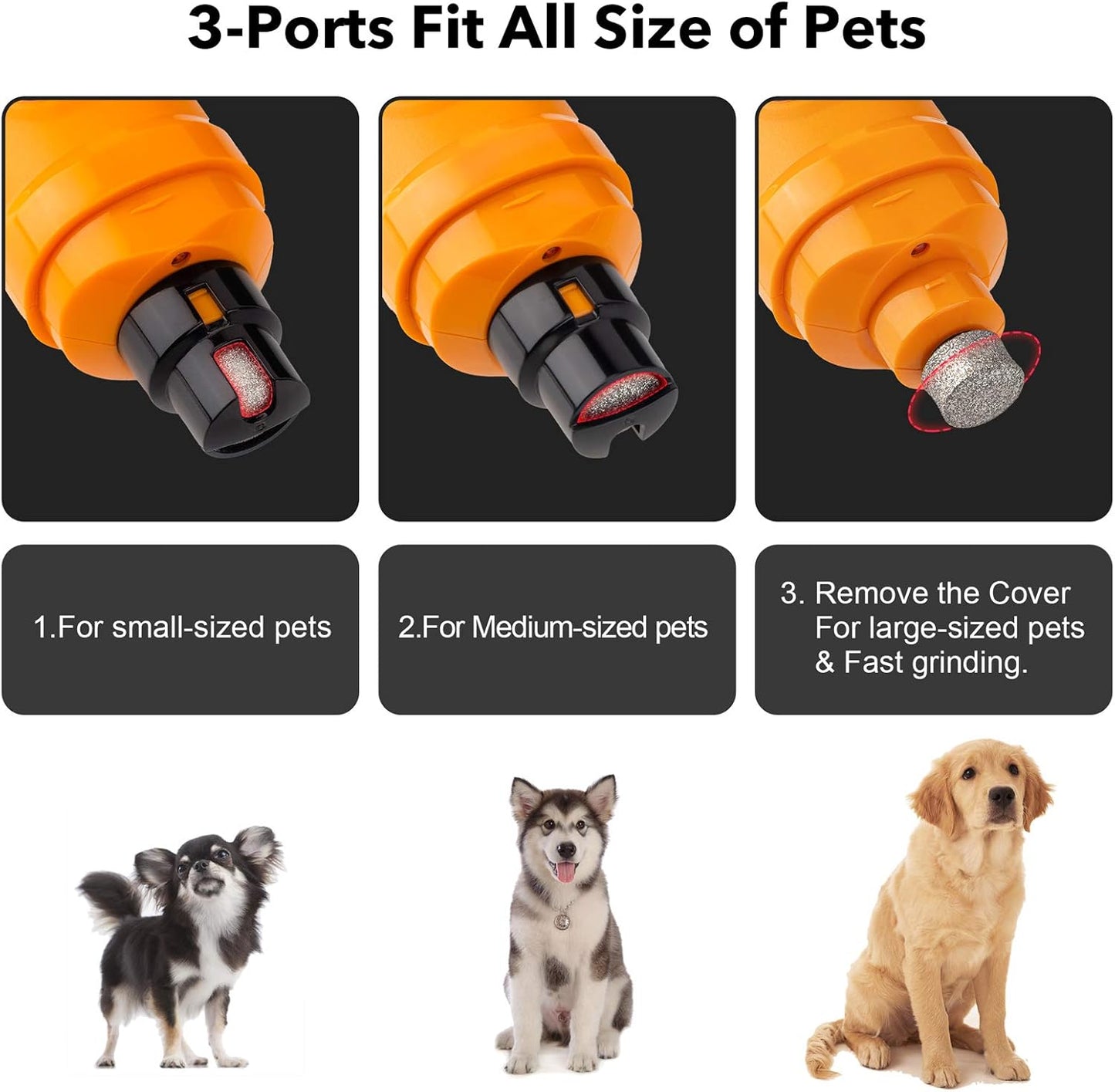 Casfuy Dog Nail Grinder with 2 LED Light - New Version 2-Speed Powerful Electric Pet Nail Trimmer Professional Quiet Painless Paws Grooming & Smoothing for Small Medium Large Dogs and Cats (Blue)
