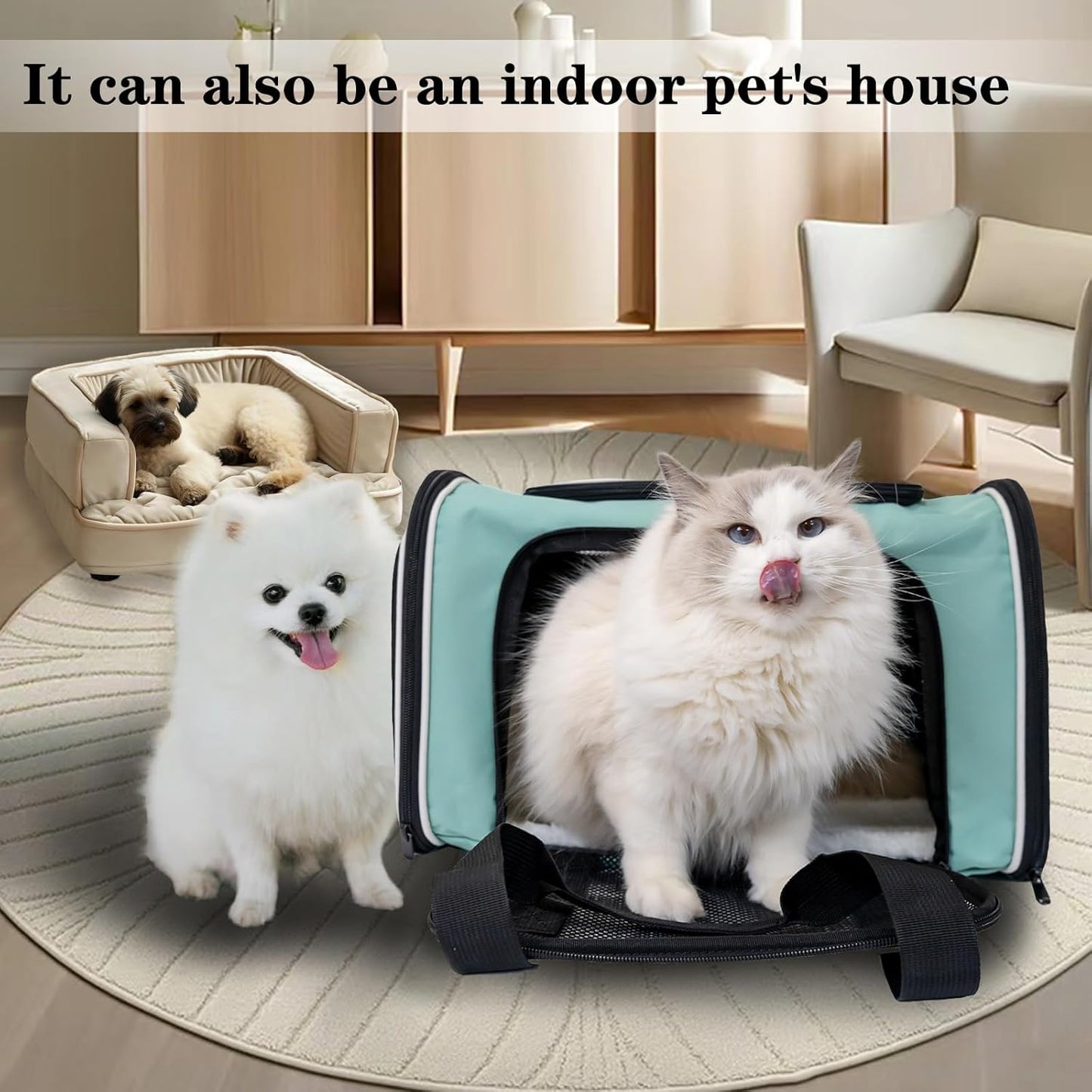 Top tasta Dog Cat Carrier Pet Carriers for Small Medium Large Cats Dogs Carrier Soft Sided Small Puppy Dog Carrier Portable Foldable Airline Approved Dog Cat Travel Carrier Grey Medium