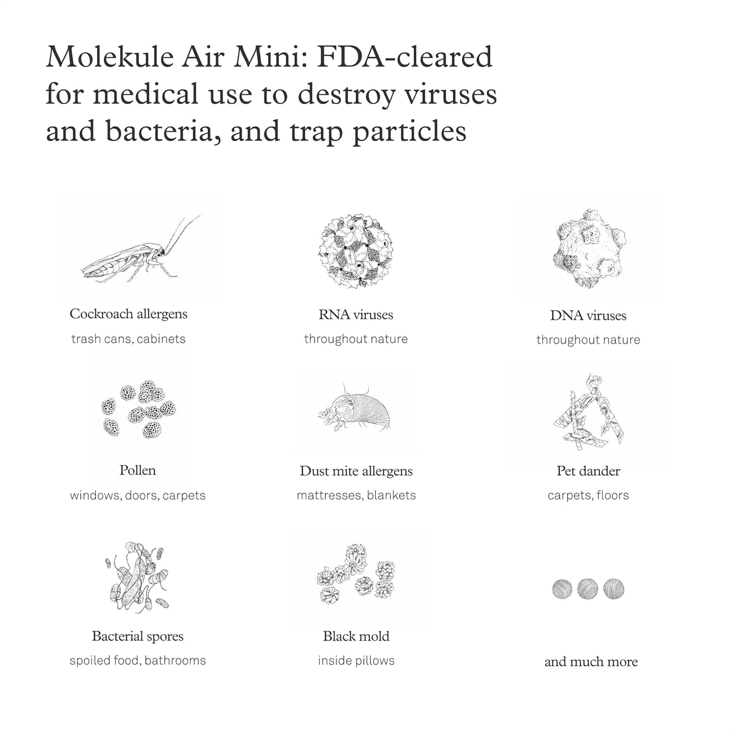Molekule Air Mini & Air Mini+ – PECO-Filter