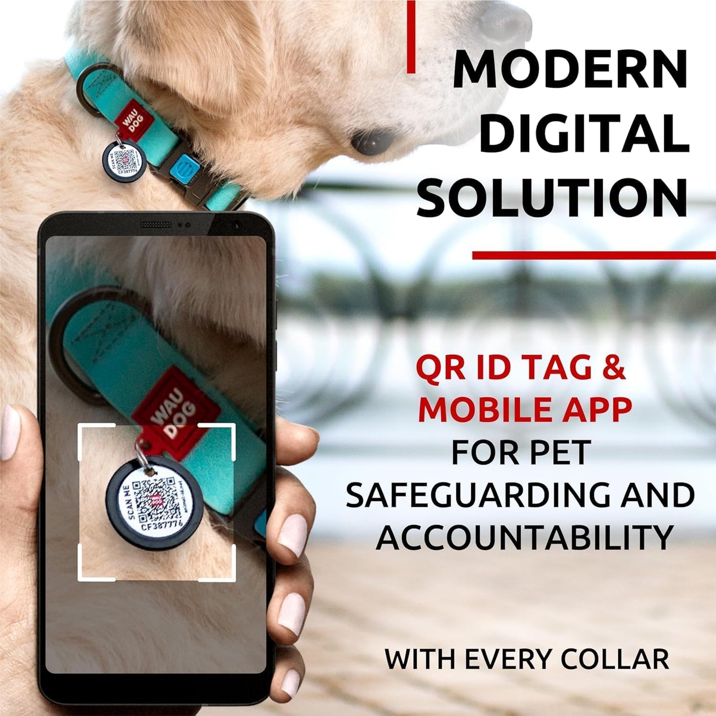 Waterproof Dog Collar - Adjustable Glow Dog Collar for Large Dogs, Small and Medium Dogs - Heavy Duty Dog Collars with Durable Metal Clasp and QR Dog Tag - Glow in The Dark Dog Collars