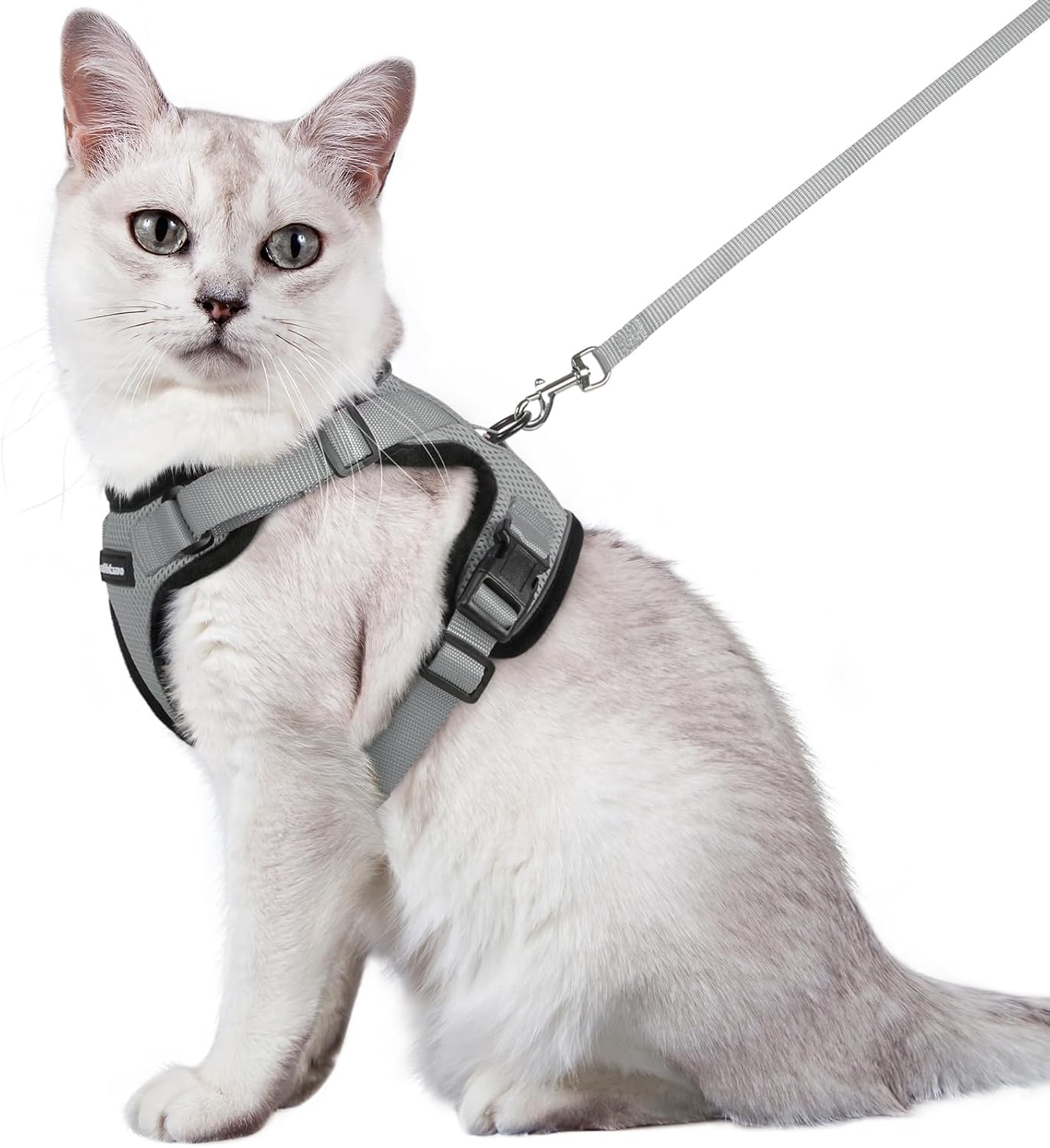 rabbitgoo Cat Harness and Leash for Walking, Escape Proof Soft Adjustable Vest Harnesses for Small Medium Cats, Easy Control Breathable Reflective Strips Jacket, XS, Black