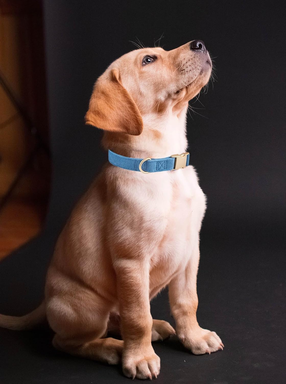 YUDOTE Soft Cotton Dog Collar with Metal Buckle Adjustable Heavy Duty Comfy Corduroy Collars for Small Medium Large Dogs,Black,Small