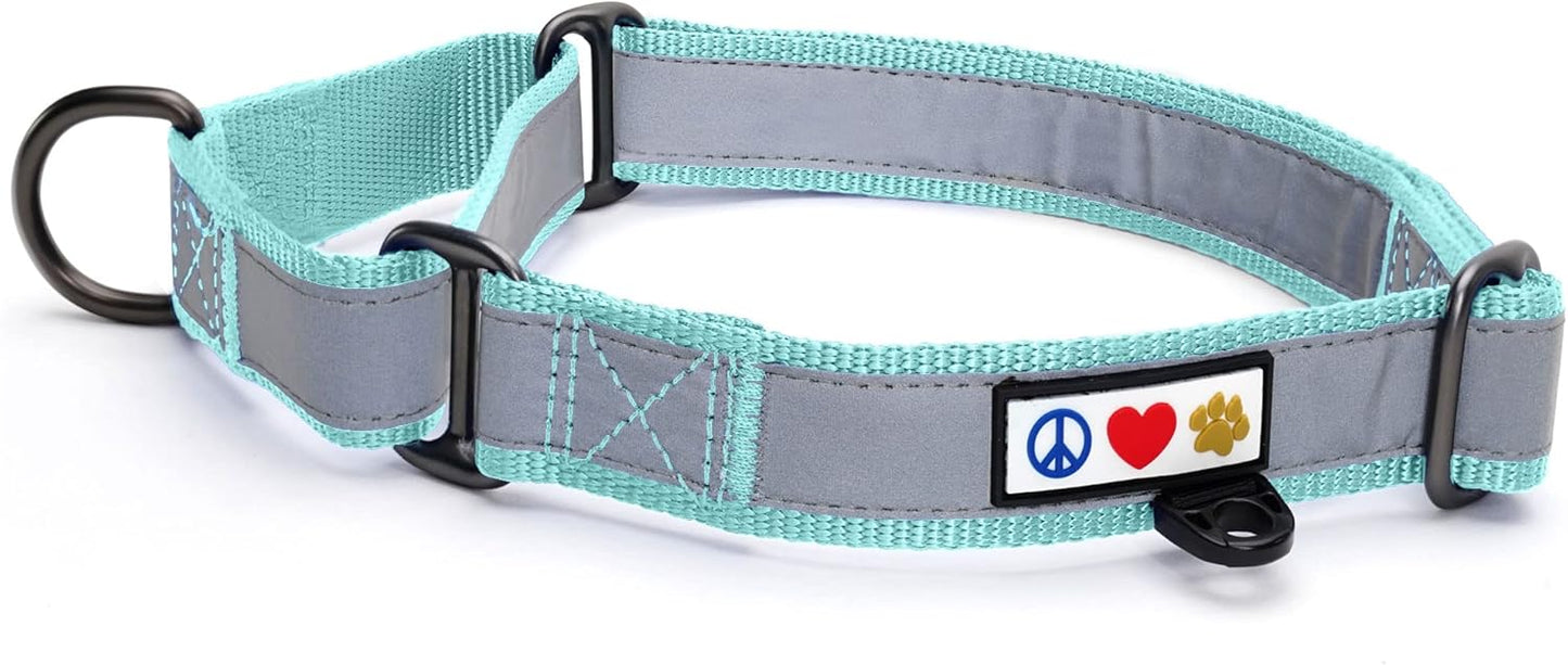 Pawtitas Chain Martingale Dog Collar Puppy Collar Reflective Dog Collar Training Dog Collar Behavioral Dog Chain Collar Collar Medium Dog Collar Green Dog Collar