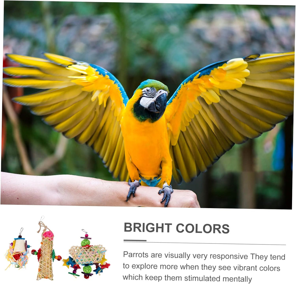 Kisangel 6pcs Parrot Toys for Bird Cage Accessories Useful Parrot Chewing Toys for Pet Supplies