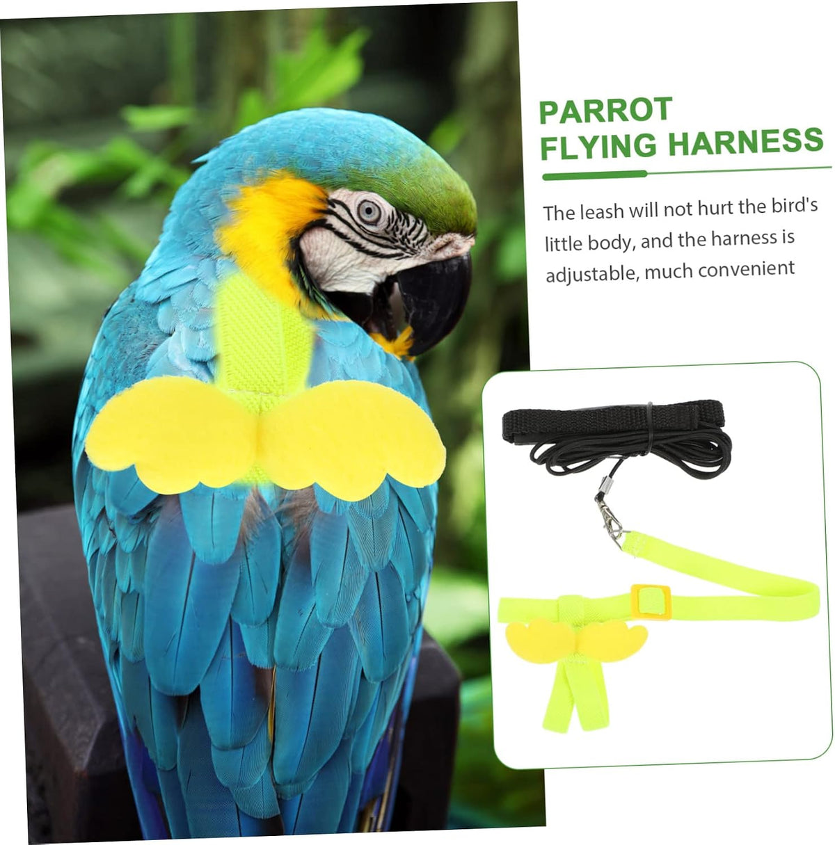 BESPORTBLE 4pcs Bird Training Rope Parrot Harness Leash Pet Bird Fly Train Supply for Small Conure