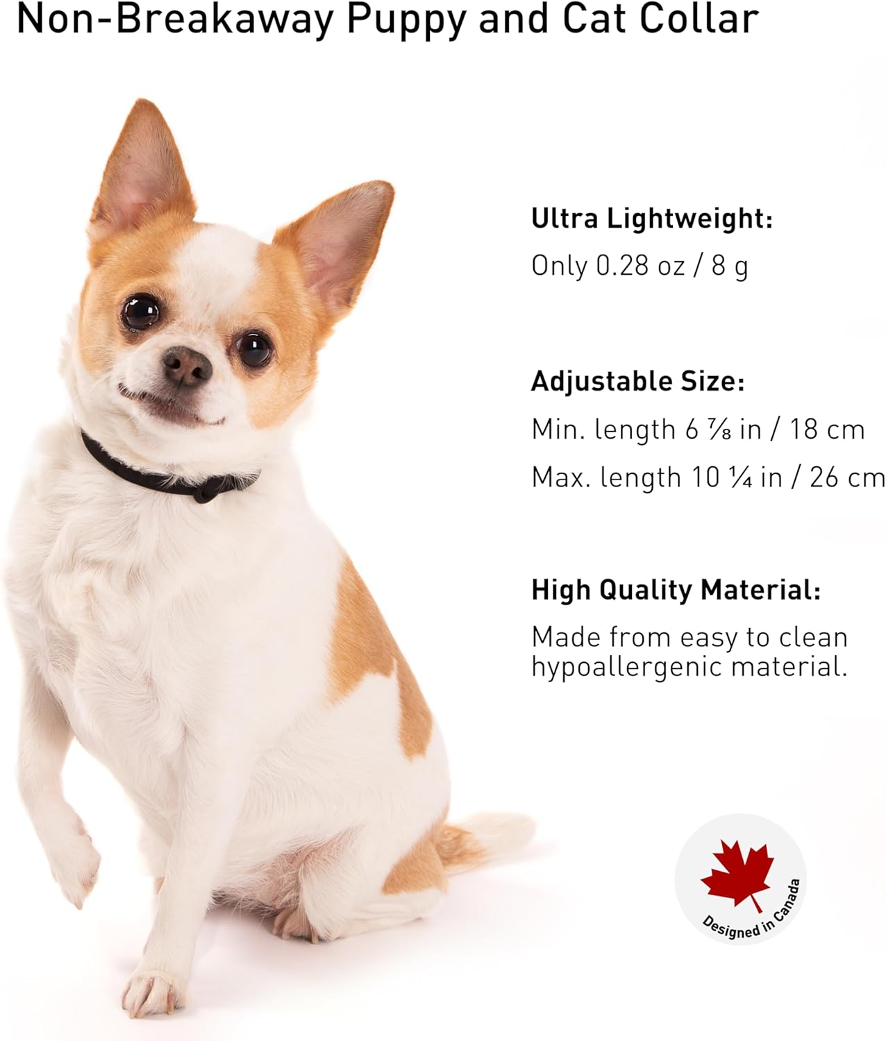 Waterproof Dog Collar - Durable, Comfortable and Adjustable Silicone Dog Collar with Wear Resistant Buckle and ID Tag Ring for Small Dogs by Nuvuq (Black, Small)