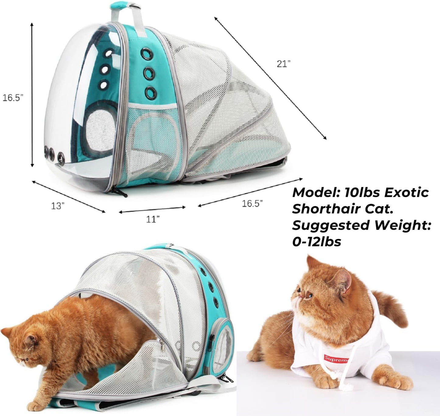 WEVONIGU Front Expandable Cat Backpack Carrier,Fit up to 16 lbs,Pet Carrier Backpack,Space Capsule Astronaut Bubble Window Bag,Cats and Puppies,Airline-Approved,Designed for Travel,Hiking,Walking