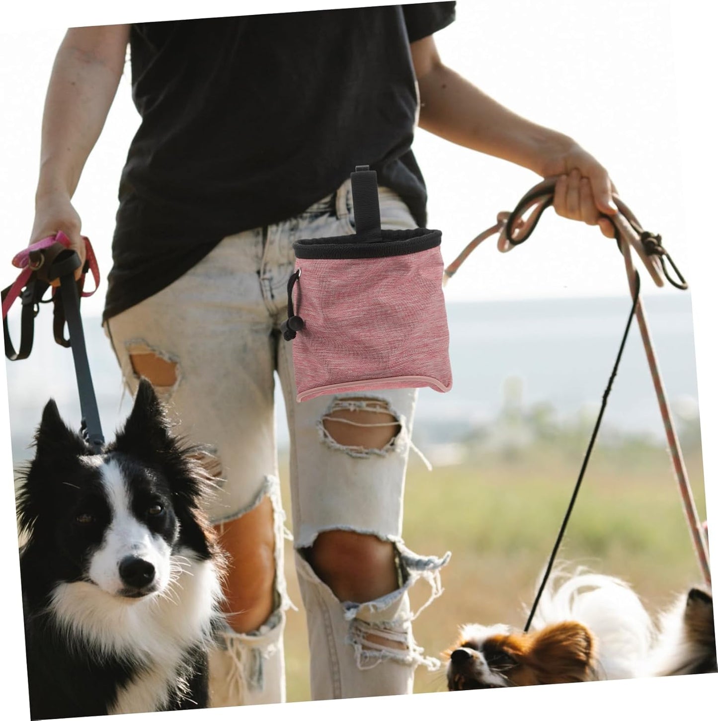 VERDANVERSE Dog Treat Pouch for Outdoor Walks Kibble Pouch Pet Treat Training Snack Bag
