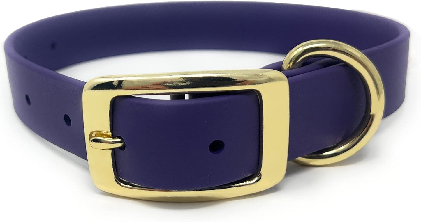 Regal Dog Products Medium Black Waterproof Dog Collar with Gold Buckle, Resilient and Durable Materials, Comfortable Design - for Small, Medium, and Large Breed Dogs