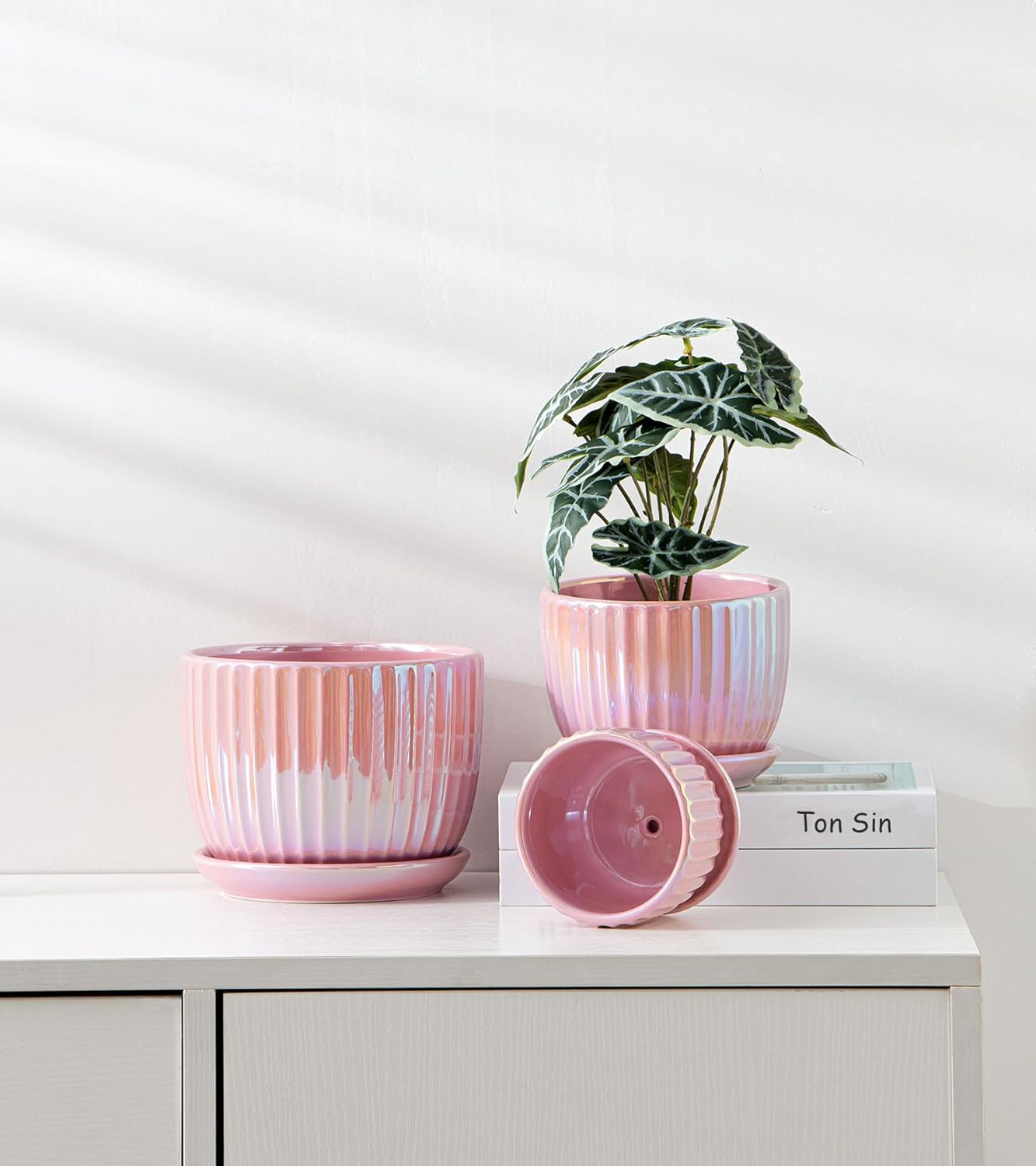 Purilite Select 3-Piece Ceramic Indoor Planter Set